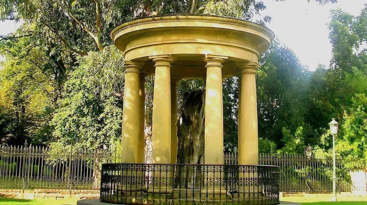 El emblemático Árbol de Gernika, un lugar que no hay que perderse en la vista a Bizkaia