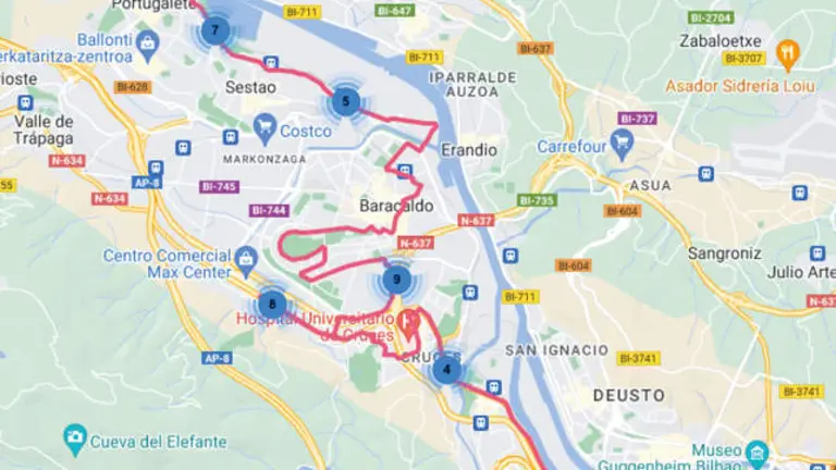 A3136_MapasBizkaibusLineas